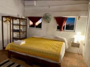 Pasifica Studio